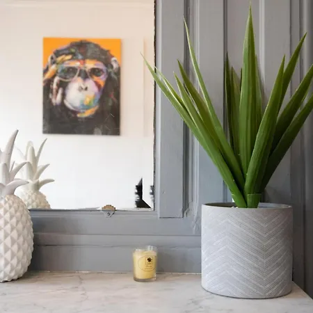 Le Vendome - Bel Proche Centre Apartment